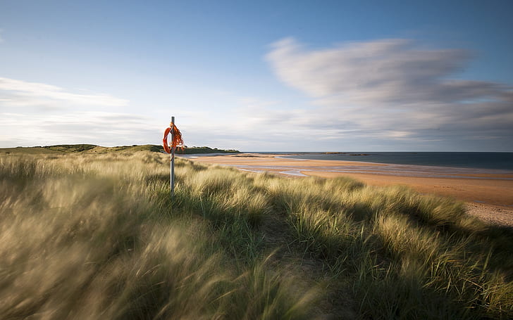 England-Seeküstelandschaft, Sandstrand, Gras, grüne Rasenfläche, England, Meer, Küste, Landschaft, Sand, Strand, Gras, HD-Hintergrundbild