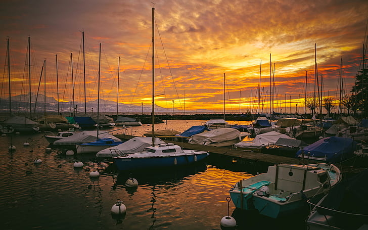 Harbor Sunset Boats Dock HD, white bow rider, nature, sunset, dock, boats, harbor, HD wallpaper