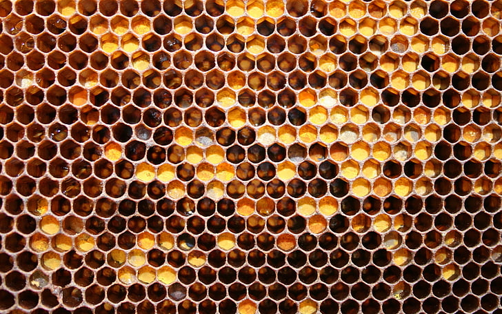 Motifs de ruche, Fond d'écran HD