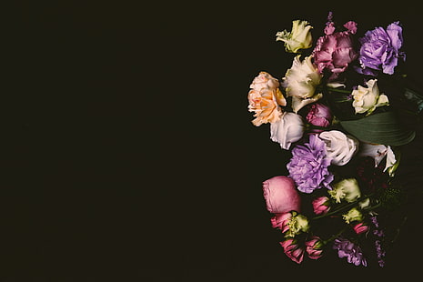 fiori, rose, colorato, rosa, sfondo nero, nero, sfondo, lilla, viola, chiodi di garofano, Sfondo HD HD wallpaper