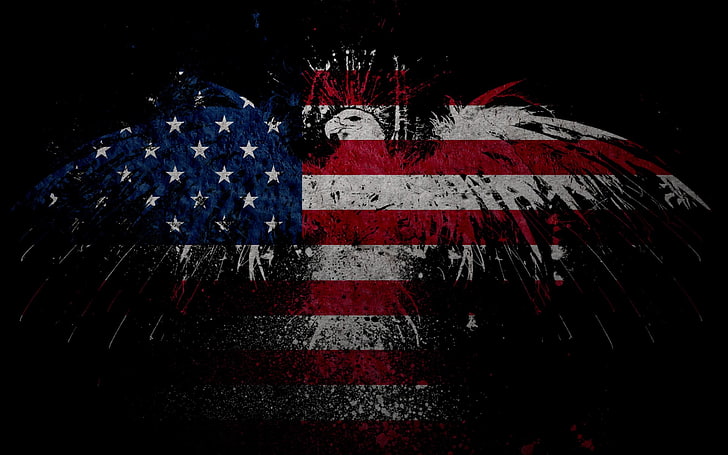 Ilustrasi bendera Amerika, bendera, elang, Wallpaper HD