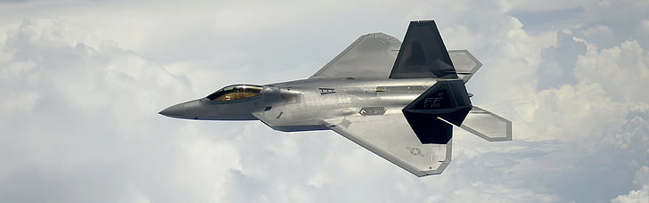 jet grigio, F-22 Raptor, aerei militari, aeromobili, jet da combattimento, US Air Force, doppi monitor, display multiplo, stealth, Sfondo HD