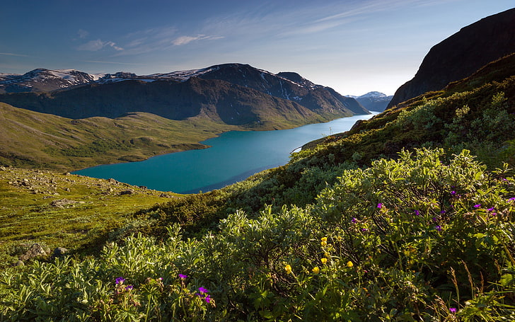 Норвегия горы-HD широкоформатные обои, зеленолиственные растения, HD обои