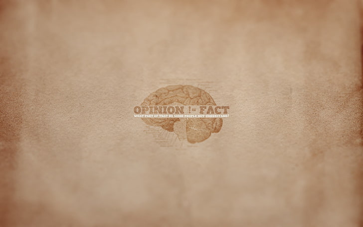 Opinion Fact wallpaper, opinion, minimalism, sign, phrase, meaning, brain, HD wallpaper