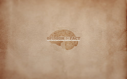 Opinion Fact Tapete, Meinung, Minimalismus, Zeichen, Satz, Bedeutung, Gehirn, HD-Hintergrundbild HD wallpaper