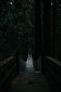 мост, висячий мост, одиночество, лес, темно, HD обои HD wallpaper