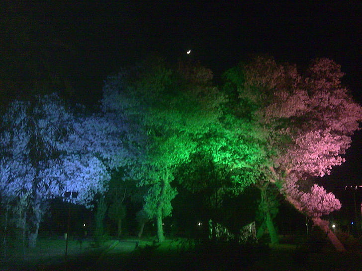 Красиво дърво, природа, дърво, нощ, 3d и абстрактно, HD тапет