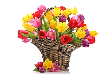 assorted-color petaled flowers, flowers, basket, bouquet, yellow, tulips, red, daffodils, HD wallpaper HD wallpaper