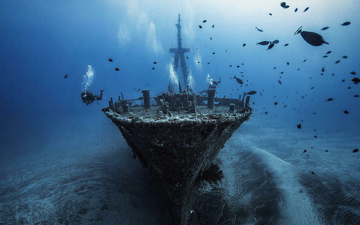 Sunken ship, gray ship, photography, 2560x1600, ship, HD wallpaper