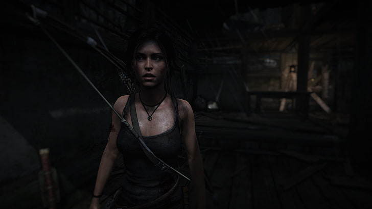 gadis video game, karakter video game, video game, Tomb Raider, Wallpaper HD