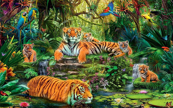 خلفيات مملكة الحيوان الغابة النمور الطيور عالية الدقة، خلفية HD