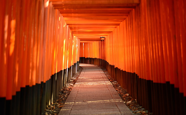 Torii Leading To The Inner Shrine HD Wallpaper, gray pavement pathway, Asia, Japan, Orange, Black, kyoto, Path, Torii, Fushimi Inari-taisha, HD wallpaper