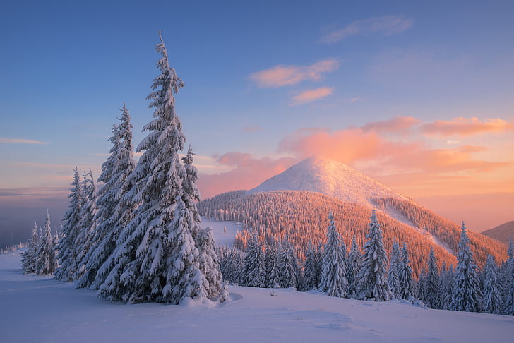 Карпатски планини, 4K, сняг, борови дървета, зима, залез, HD тапет