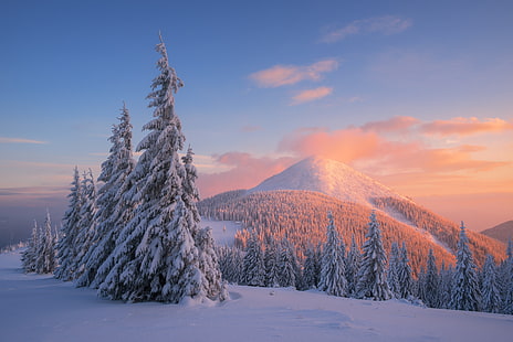 Карпатски планини, 4K, сняг, борови дървета, зима, залез, HD тапет HD wallpaper