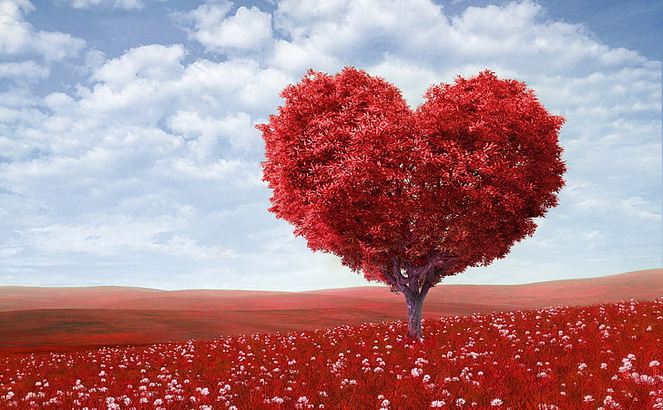 Saint Valentin 2014, arbre à feuilles rouges en forme de coeur, vacances, Saint Valentin, 2014, Fond d'écran HD