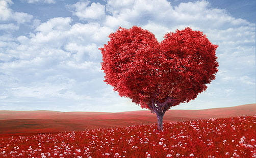 San Valentino 2014, albero frondoso rosso in forma di cuore, vacanze, San Valentino, 2014, Sfondo HD HD wallpaper