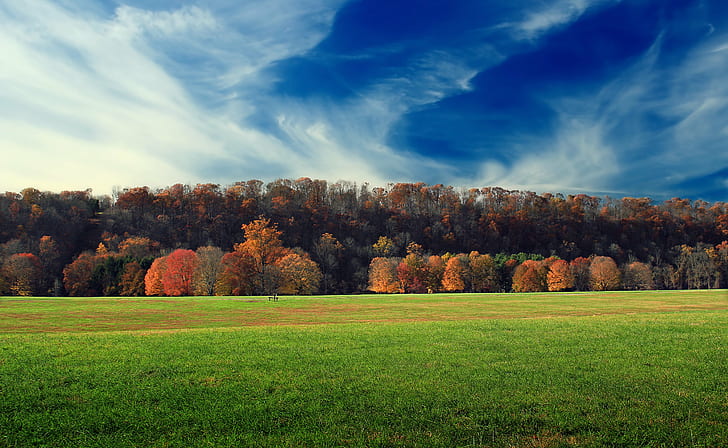 photography of green grass and brown trees, Tinicum Park, photography, green grass, brown, trees, Pennsylvania, Bucks County, Tinicum Township, County Park, landscape, field, hills, foliage, sky, clouds, cirrus, autumn, creative commons, nature, tree, forest, season, outdoors, grass, meadow, rural Scene, scenics, leaf, HD wallpaper