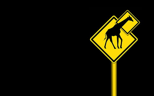 signs funny black background giraffes Entertainment Funny HD Art , funny, signs, black background, giraffes, HD wallpaper HD wallpaper