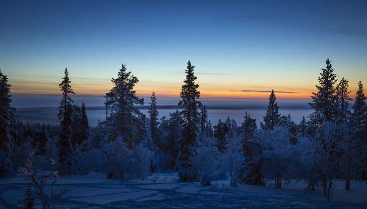 dunkelheit, winterlicher, Himmel, beschaffenheit, landschaft, bäume, HD-Hintergrundbild