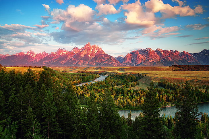 green leafed trees, summer, mountains, river, morning, USA, Wyoming, July, Grand Teton national Park, Snake, HD wallpaper