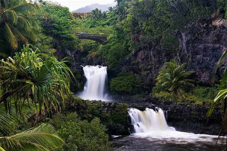Waterfalls, Waterfall, Bridge, Earth, Rainforest, Tropical, HD wallpaper