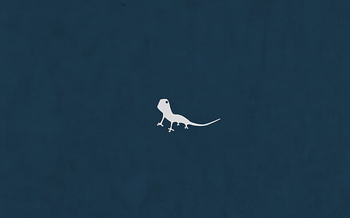 jaszczurka, niebieski, zwierzę, minimalistyczny, prosty, sztuka, Tapety HD HD wallpaper