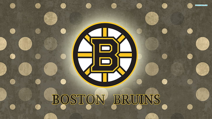 보스턴, 브루 인스, 하키, NHL, HD 배경 화면