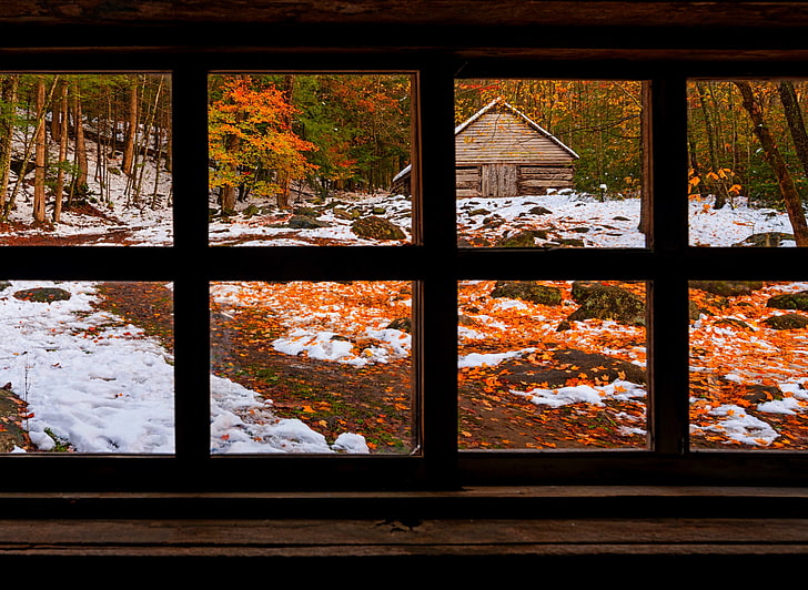 brązowy drewniany dom, przyroda, las, okno, jesień, śnieg, zima, Tapety HD