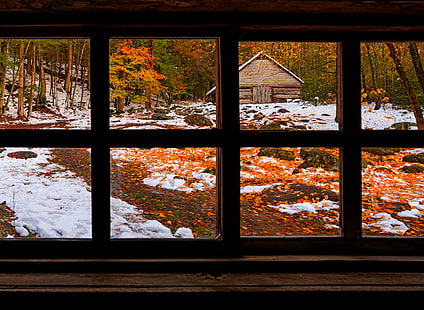 casa de madera marrón, naturaleza, bosque, ventana, otoño, nieve, invierno, Fondo de pantalla HD HD wallpaper