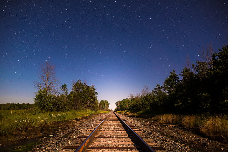 الأشجار الخضراء والسكك الحديدية والسماء المرصعة بالنجوم الاتجاه والأشجار، خلفية HD