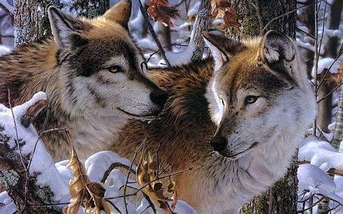 two brown-and-white wolf painting, wolves, couple, predators, loyalty, affection, HD wallpaper HD wallpaper