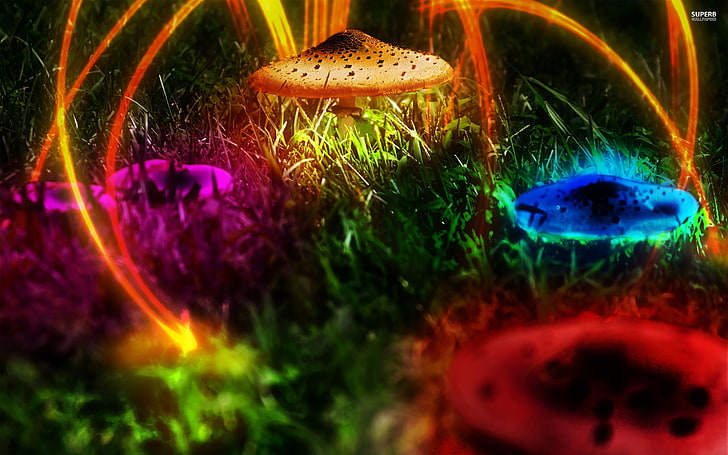 psychedelic, jamur, Wallpaper HD