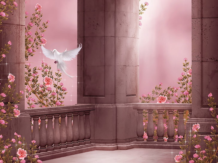 白い鳩とピンクの花のデジタル壁紙、花、鳩、バラ、柱、飛行、鳩、バラ園、 HDデスクトップの壁紙