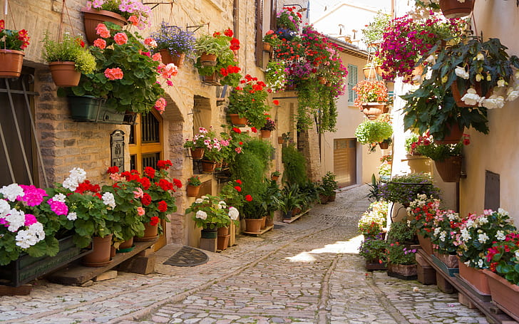 Street with flowers, street, city, greece, flowers, HD wallpaper