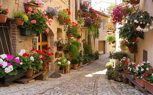 Straße mit Blumen, Straße, Stadt, Griechenland, Blumen, HD-Hintergrundbild HD wallpaper
