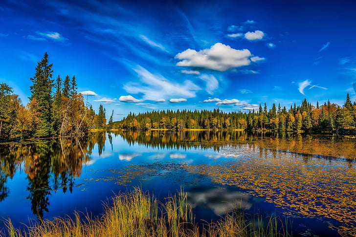autumn, forest, the sky, lake, reflection, Norway, Lønnsjøen, HD wallpaper