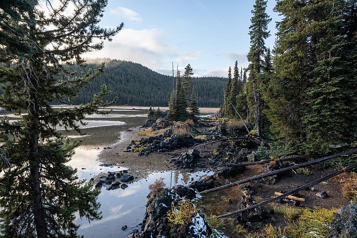 風景、森、オレゴン、川、海岸、自然、 HDデスクトップの壁紙