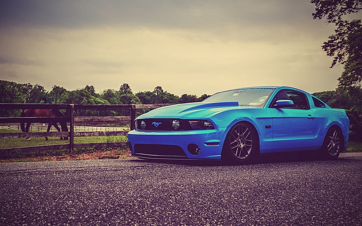 Ford Mustang blu, Ford Mustang, macchine blu, auto, Sfondo HD