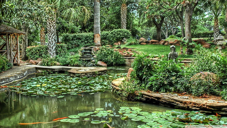 Beautiful Garden Hdr, fish pond with water liliees, gazebo, palms, garden, pool, nature and landscapes, HD wallpaper