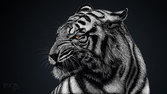 тигър, ядосан, HD тапет HD wallpaper