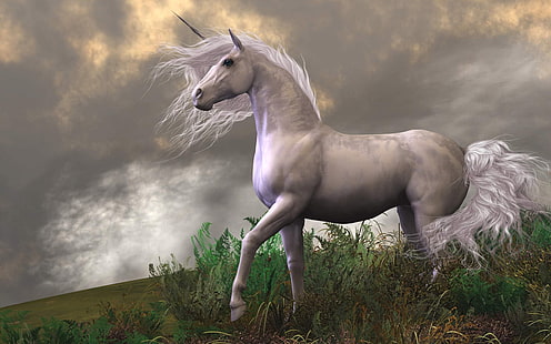 Unicorn White Horse From Mountain Fantasy Art Desktop Hd Wallpapers For Mobile Phones And Computer 3840×2400, HD wallpaper HD wallpaper