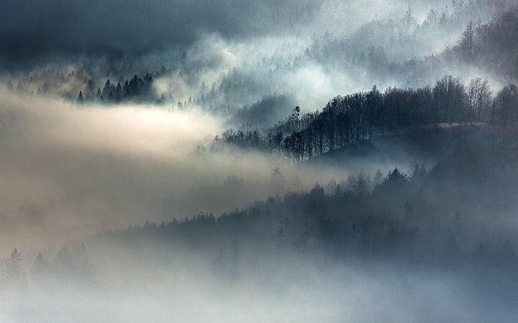 гора покрыта снегом, гора покрыта туманами, природа, пейзаж, туман, осень, лес, горы, деревья, HD обои