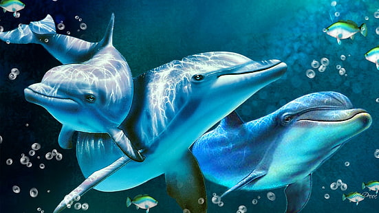 Delightful Dolphins, water, marine-mammals, ocean, aqua, blue, dolphins, HD wallpaper HD wallpaper
