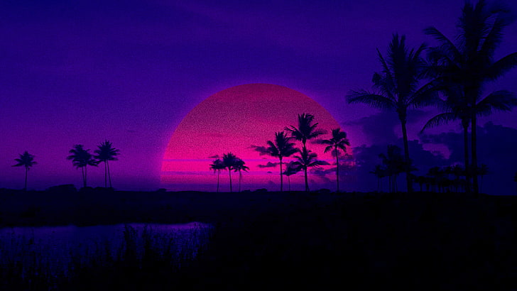 silhouette de pins, palmiers, Retrowave, violet, coucher de soleil, palmiers, rose, ombre, fond sombre, Fond d'écran HD