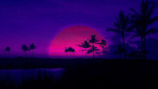 sylwetka sosny, palmy, Retrowave, fiolet, zachód słońca, palmy, różowy, cień, ciemne tło, Tapety HD HD wallpaper