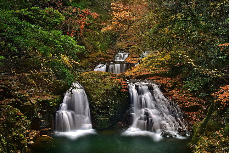 Водопады, Водопад, Земля, Осень, Листва, Лес, Япония, Пейзаж, Дерево, HD обои