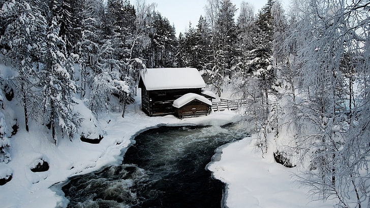 природа, сняг, лед, река, кабина, дървета, HD тапет