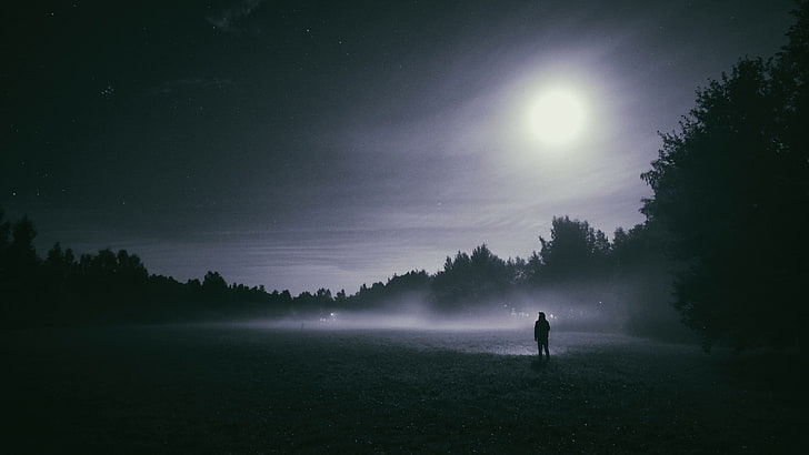 Alone in Moonlight, HD wallpaper