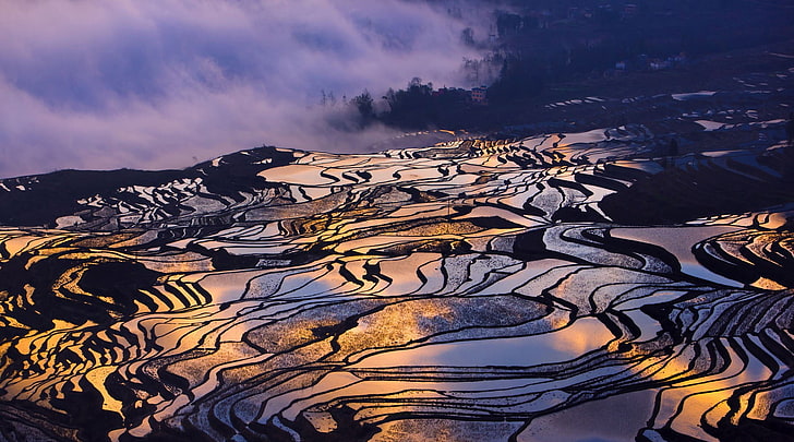 blue and white floral textile, terraced field, rice paddy, HD wallpaper