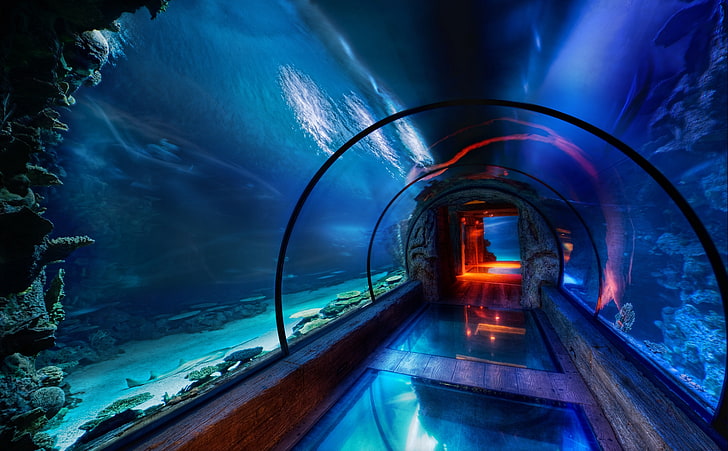 Подводен проход, Лас Вегас, аквариум тунел, САЩ, Невада, Под вода, вода, аквариум, Лас Вегас, проход, HD тапет